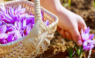 Magical Benefits of Saffron