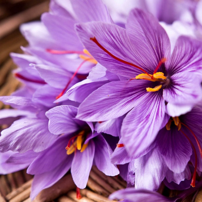 The Benefits of Saffron Extract
